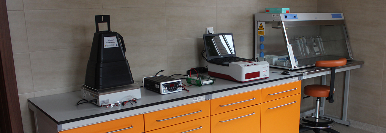 Laboratorium Genetyki